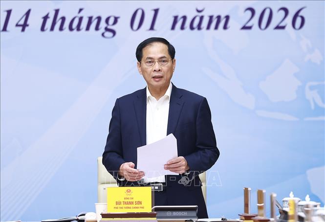 Phó Thủ tướng Bùi Thanh Sơn phát biểu. Ảnh: Dương Giang-TTXVN 
