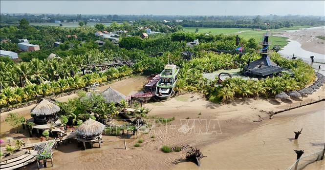 Khu du lịch sinh thái Cồn Én ở Ấp Tấn Long, Chợ Mới (An Giang) sở hữu hàng ngàn cây dừa nhiều ngọn độc lạ. Ảnh: Thanh Sang-TTXVN