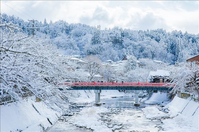 Cầu đỏ Nakabashi nổi bật giữa khung cảnh tuyết trắng bao phủ là điểm tham quan nổi tiếng. Ảnh: Xuân Giao – PV TTXVN tại Nhật Bản