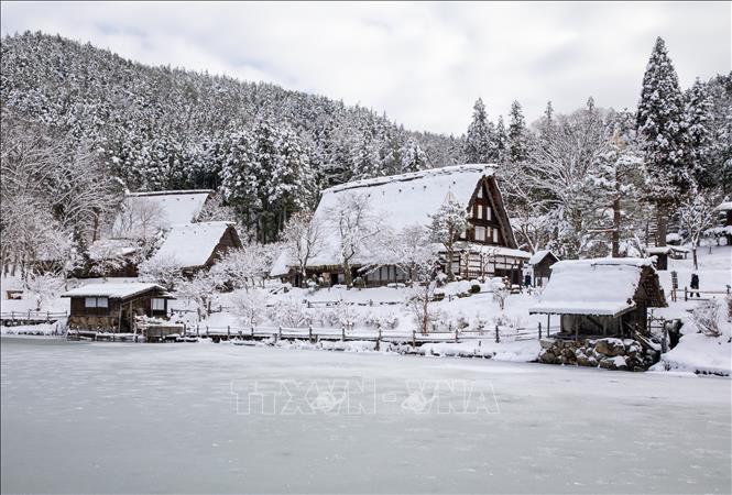 Làng cổ Hida phủ đầy tuyết trắng nằm ngay trong trung tâm Takayama. Ảnh: Xuân Giao – PV TTXVN tại Nhật Bản