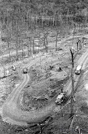  Bất chấp những ngăn chặn khốc liệt, tàn bạo, bằng nhiều lực lượng, nhiều thủ đoạn, nhiều loại phương tiện chiến tranh và vũ khí hiện đại nhất lúc bấy giờ của Mỹ, tuyến vận tải chiến lược Trường Sơn vẫn không ngừng phát triển, đáp ứng sự chi viện to lớn, toàn diện, liên tục, mạnh mẽ của hậu phương lớn miền Bắc cho tiền tuyến lớn miền Nam (1969). Ảnh: Văn Sắc-TTXVN