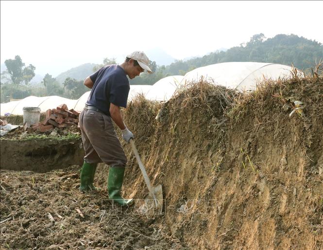 Người dân Vị Xuyên (Tuyên Quang) tu sửa bờ thửa chuẩn bị vụ Đông Xuân 2026. Ảnh: Đức Thọ - TTXVN