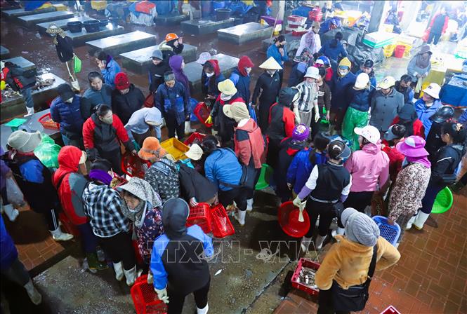 Người mua bán hải sản nhộn nhịp tại chợ đêm Lạch Vạn (xã Diễn Châu, tỉnh Nghệ An). Ảnh: Xuân Tiến - TTXVN 