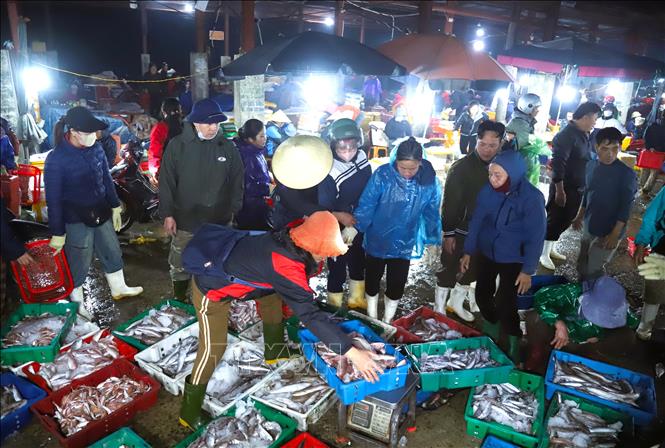 Hoạt động mua bán hải sản tại chợ đêm Lạch Vạn. Ảnh: Xuân Tiến - TTXVN 