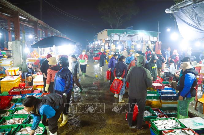 Chợ đêm Lạch Vạn là chợ đầu mối có quy mô lớn của tỉnh Nghệ An. Ảnh: Xuân Tiến - TTXVN 