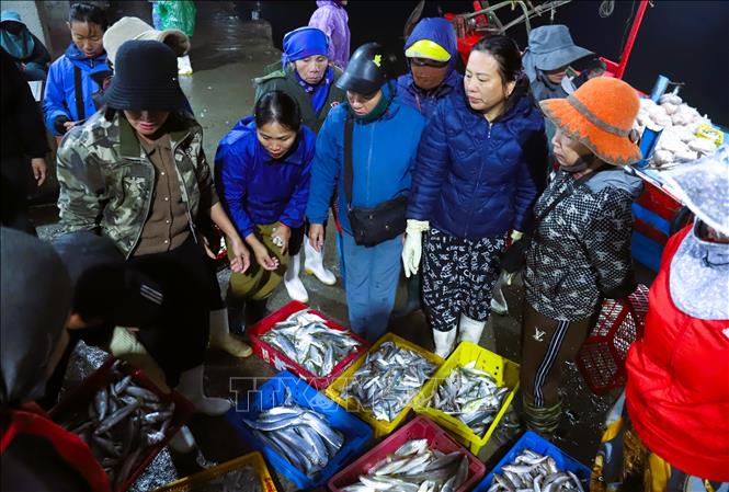 Hoạt động mua bán hải sản tại chợ đêm Lạch Vạn. Ảnh: Xuân Tiến - TTXVN 