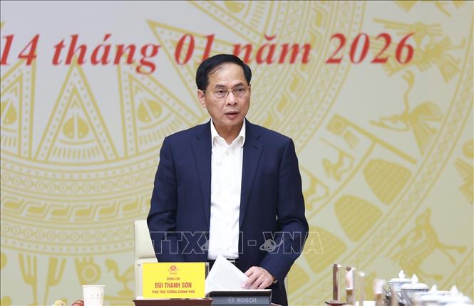 Phó Thủ tướng Bùi Thanh Sơn phát biểu. Ảnh: Dương Giang-TTXVN 