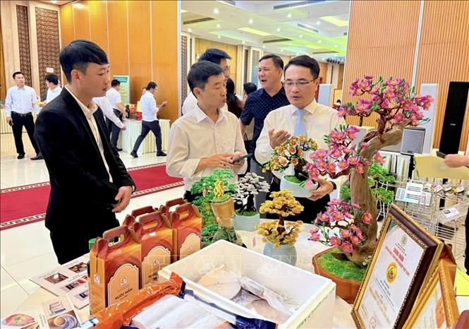 Các sản phẩm OCOP của tỉnh Quảng Trị tham gia chương trình giới thiệu, quảng bá sản phẩm tại nhiều tỉnh thành trong cả nước. Ảnh: Nguyên Linh – TTXVN