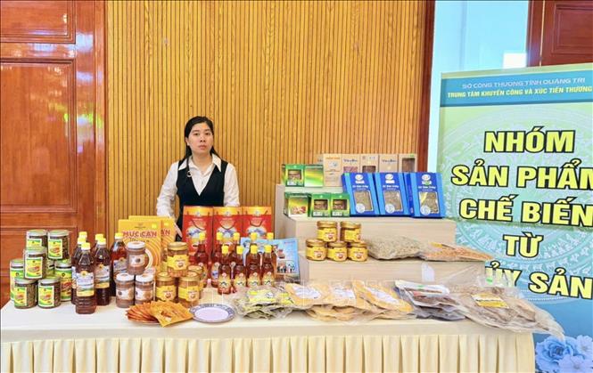 Các sản phẩm OCOP của tỉnh Quảng Trị tham gia chương trình giới thiệu, quảng bá sản phẩm tại nhiều tỉnh thành trong cả nước. Ảnh: Nguyên Linh – TTXVN
