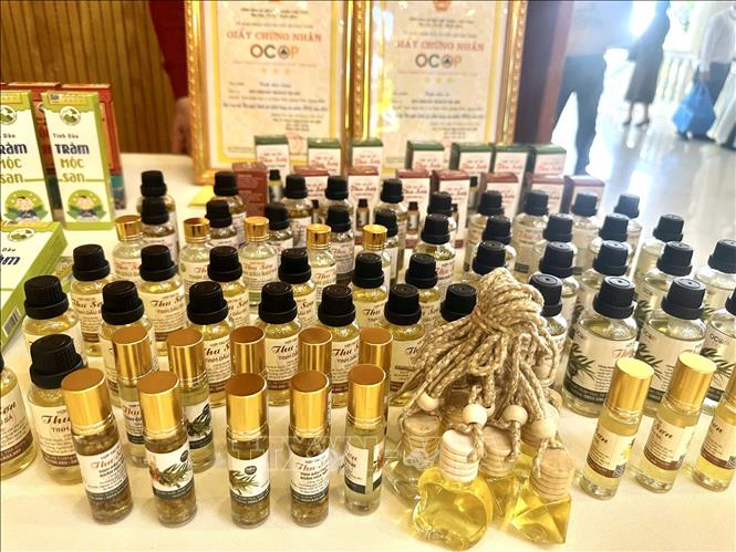 Quảng Trị đang đẩy mạnh chương trình đưa sản phẩm OCOP lên các sàn thương mại điện tử gắn với truy xuất nguồn gốc đang góp phần bảo vệ thương hiệu và củng cố niềm tin người tiêu dùng. Ảnh: Nguyên Linh – TTXVN