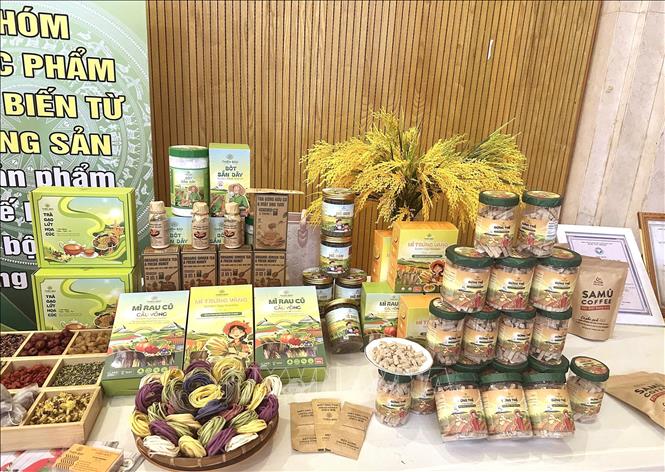 Những năm gần đây, cùng với sự phát triển mạnh của mua sắm trực tuyến, thương mại điện tử đã trở thành kênh tiềm năng, giúp đưa đặc sản Quảng Trị đến gần hơn với người tiêu dùng trong và ngoài tỉnh. Ảnh: Nguyên Linh – TTXVN