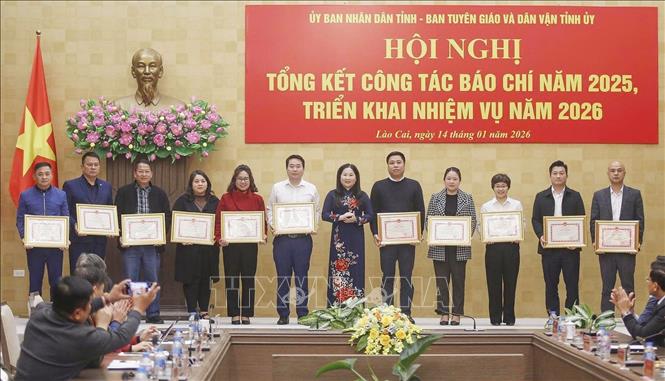 Phó Chủ tịch UBND tỉnh Lào Cai Vũ Thị Hiền Hạnh tặng Bằng khen của UBND tỉnh cho các cá nhân. Ảnh: TTXVN phát