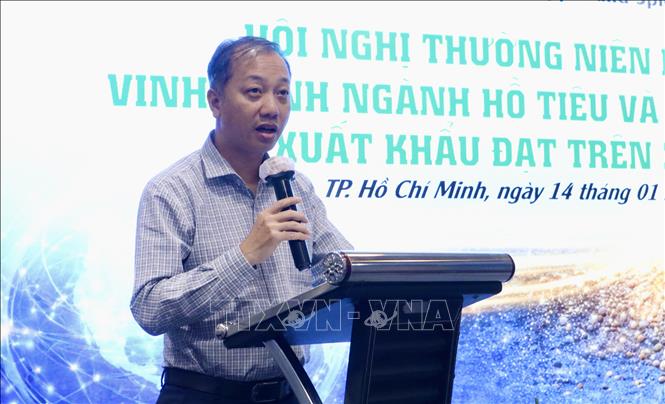 Ông Nguyễn Quang Hiếu, Phó Cục trưởng Cục Trồng trọt và Bảo vệ thực vật, Bộ Nông nghiệp và Môi trường phát biểu tại hội nghị. Ảnh: Xuân Anh -TTXVN