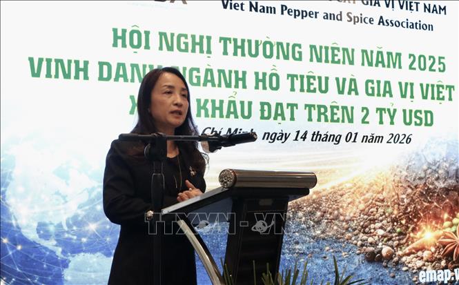 Bà Hoàng Thị Liên, Chủ tịch Hiệp hội hồ tiêu và cây gia vị Việt Nam phát biểu tại hội nghị. Ảnh: Xuân Anh -TTXVN