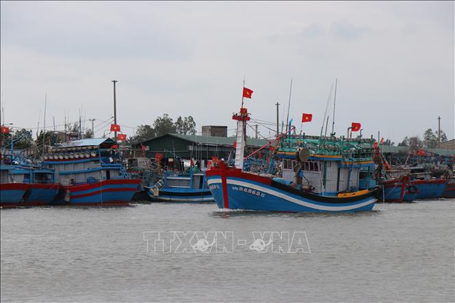 Fishermen in Quang Ngai province have actively upgraded and retrofitted large-capacity vessels, applying technical advancements in fisheries operations. VNA Photo: Phạm Cường