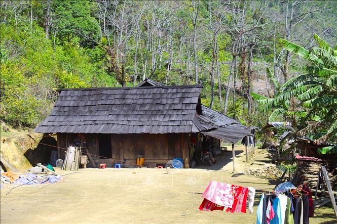 Những ngôi nhà gỗ thấp, trệt của đồng bào Mông ở bản Huồi Măn (xã Nhôn Mai, tỉnh Nghệ An) đều dựng lên bằng khung gỗ, trong đó có nhiều nhà được lợp mái bằng gỗ sa-mu, pơ-mu đen thẫm. Ảnh: Xuân Tiến - TTXVN 
