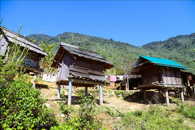 Kho lương thực (lẩu khầu) dự trữ của đồng bào Mông ở bản Huồi Măn được thiết kế 2 tầng, làm bằng gỗ và lợp mái gỗ sa-mu nằm tách biệt với khu vực nhà ở để làm nơi chứa thóc, các loại củ (sắn, khoai) và ngô. Ảnh: Xuân Tiến - TTXVN 