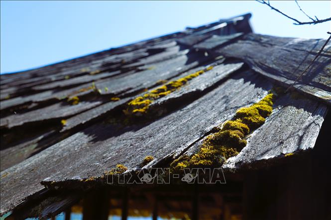 Mái nhà cổ lợp bằng gỗ sa-mu ở bản Huồi Măn. Ảnh: Xuân Tiến - TTXVN 