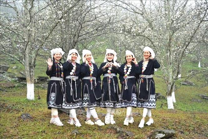 Các thiếu nữ mặc trang phục dân tộc địa phương tạo dáng chụp ảnh giữa vườn lê nở rộ góp phần tôn vinh vẻ đẹp văn hóa vùng cao Hồng Thái. Ảnh: TTXVN phát