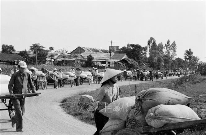 Nông dân huyện Hương Điền, tỉnh Bình Trị Thiên thực hiện hợp đồng kinh tế 2 chiều. chuyển thóc lên thành phố Huế nhập kho nhà nước để đổi lấy phân đạm (tháng 6/1978). Ảnh: Hồng Hóa - TTXVN