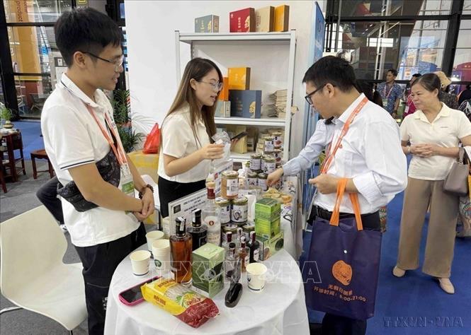 Các sản phẩm chất lượng cao của Việt Nam được trưng bày, giới thiệu tại Hội chợ Thương mại ASEAN – Trung Quốc lần thứ 21 ở Nam Ninh (Trung Quốc) từ ngày 24-28/9/2024. Ảnh: Công Tuyên – TTXVN