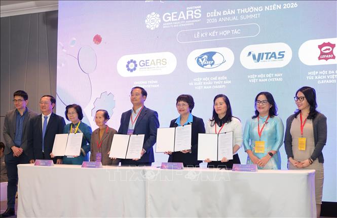 Đại diện các Hiệp hội doanh nghiệp ngành hàng ký kết hợp tác. Ảnh: Mỹ Phương – TTXVN