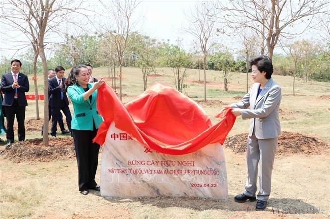 Đồng chí Nguyễn Thị Thu Hà, Phó Chủ tịch, Tổng thư ký Ủy ban Trung ương MTTQ Việt Nam và đồng chí Hàm Huy, Phó Chủ tịch Chính hiệp Toàn quốc Trung Quốc khánh thành Bia kỷ niệm: Rừng cây hữu nghị Mặt trận Tổ quốc Việt Nam và Chính hiệp Trung Quốc tại Quảng Tây (4/2025). Ảnh: Công Tuyên - TTXVN