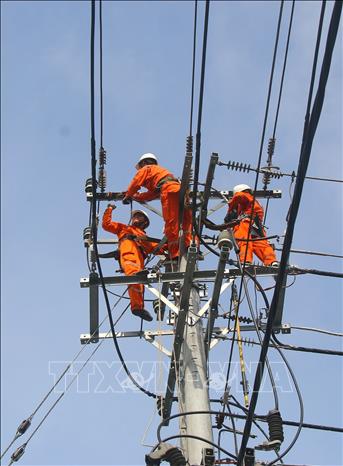 Nhân viên Công ty Điện lực thành phố Cần Thơ duy tu, thay thế thiết bị phục vụ truyền dẫn điện nhằm tránh thất thoát điện năng tại xã Hỏa Lựu, thành phố Cần Thơ. Ảnh: Duy Khương – TTXVN