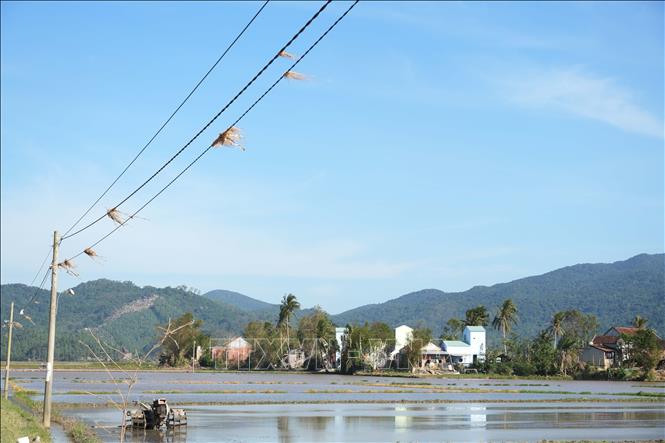 Traces of the historic floods near the newly-completed houses in Dak Lak. VNA Photo: Tuấn Anh