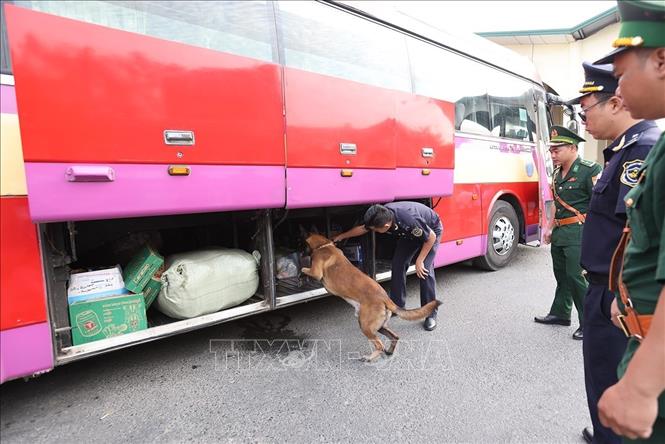 Lực lượng Hải quan phối hợp với Bộ đội Biên phòng kiểm soát phương tiện xuất nhập cảnh qua cửa khẩu quốc tế Tịnh Biên, phường Tinh Biên, tỉnh An Giang. Ảnh: Vũ Sinh - TTXVN