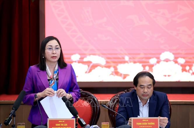 Phó Bí thư Thường trực Tỉnh uỷ Ninh Bình Đinh Thị Lụa phát biểu. Ảnh: Tuấn Anh - TTXVN