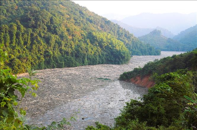 Mặt sông Nậm Nơn đoạn chảy qua địa bàn xã Nhôn Mai (tỉnh Nghệ An) bị phủ kín, dày đặc bởi các loại rác, thân cây gỗ trên suốt chiều dài gần 2km. Ảnh: Xuân Tiến - TTXVN 