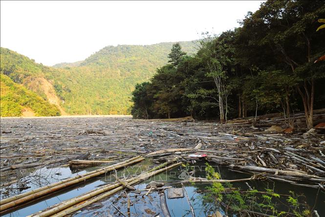 Bạt ngàn các loại rác, gỗ mục, cành cây, tre, nứa, thân gỗ...theo nhịp dâng của sông Nậm Nơn, tràn lên những diện tích rừng phòng hộ ven sông trên địa bàn xã Nhôn Mai, Hữu Khuông (tỉnh Nghệ An). Ảnh: Xuân Tiến - TTXVN 
