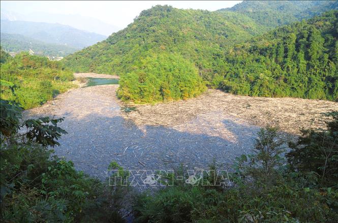 Nhiều khu vực thuộc lưu vực lòng hồ Thủy điện Bản Vẽ hiện nay bị bao phủ bởi rác thải, thân cây, gỗ mục ken đặc, khiến mặt hồ chẳng khác nào một “bãi rác khổng lồ”. Ảnh: Xuân Tiến - TTXVN 