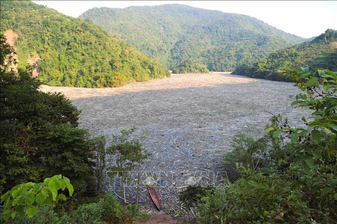 Rác, thân gỗ, cành khô các loại phủ kín, nêm cứng mặt sông Nậm Nơn thuộc lòng hồ Thủy điện Bản Vẽ khiến nhiều bến đò ngang, dọc thiết lập bên sông phải dừng hoạt động nhiều tháng nay. Ảnh: Xuân Tiến - TTXVN 