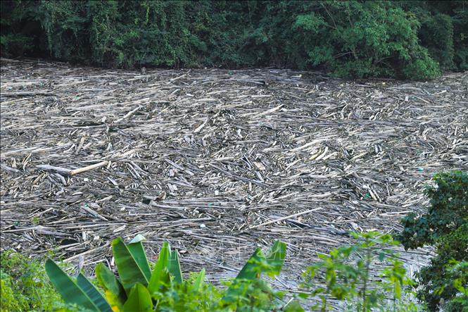 Bề mặt phụ lưu sông Nậm Nơn đoạn chảy vào Khe Hỷ (xã Nhôn Mai, tỉnh Nghệ An) bị phủ kín, ken cứng dày đặc rác, gỗ, thân cây, cành cây. Ảnh: Xuân Tiến - TTXVN 
