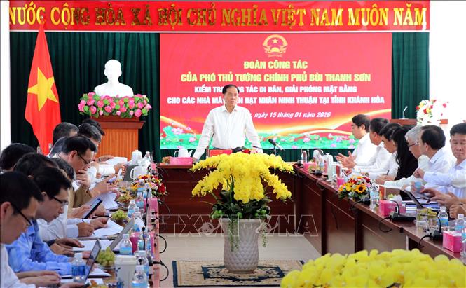 Deputy Prime Minister Bui Thanh Son speaks at the working session. VNA Photo: Công Thử