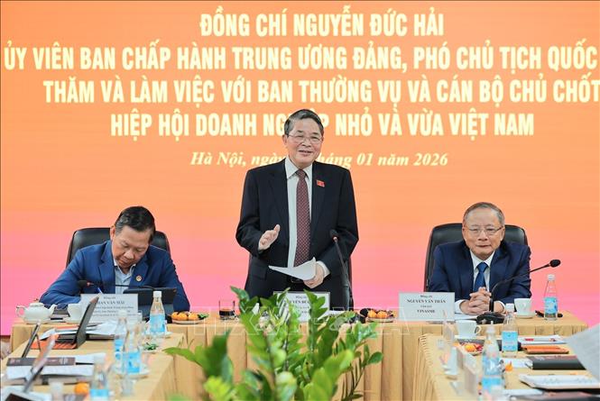 Đ/c Nguyễn Đức Hải, Uỷ viên Trung ương Đảng, Phó Chủ tịch Quốc Hội phát biểu chỉ đạo tại buổi làm việc. Ảnh: Lê Đông - TTXVN