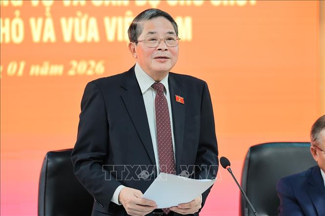 Đ/c Nguyễn Đức Hải, Uỷ viên Trung ương Đảng, Phó Chủ tịch Quốc Hội phát biểu chỉ đạo tại buổi làm việc. Ảnh: Lê Đông - TTXVN