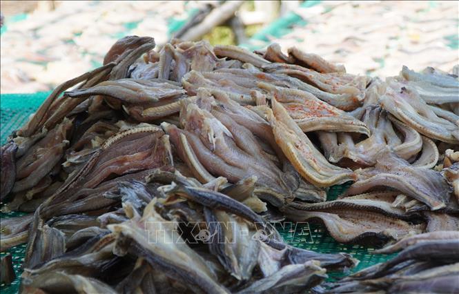 Giá bán sỉ khô cá lóc từ 150 - 160 nghìn đồng/kg. Ảnh: Nhựt An - TTXVN