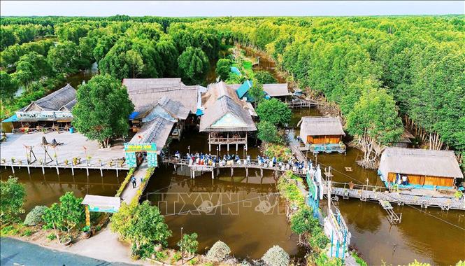 Các tuyến tour du lịch ngày càng thu hút du khách đến với Cà Mau vào các dịp lễ, Tết. Ảnh: TTXVN phát