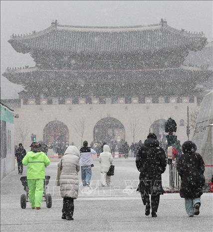 Tuyết rơi dày tại thủ đô Seoul, Hàn Quốc. Ảnh: Yonhap/TTXVN