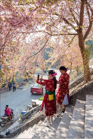 Lung Cu is orienting tourism development towards a green and sustainable model, with cultural and landscape conservation as its foundation. VNA Photo: Minh Tâm