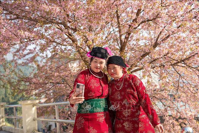 In 2026, Lung Cu aims to attract over 450,000 visitors. VNA Photo: Minh Tâm