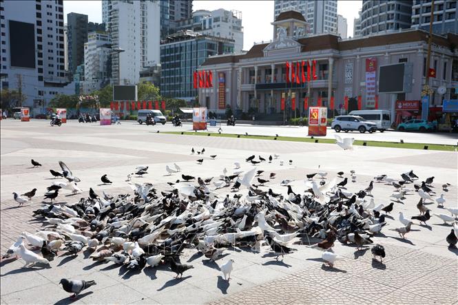 Quảng trường 2 tháng 4 Nha Trang rực rỡ cờ hoa. Ảnh Đặng Tuấn -TTXVN 