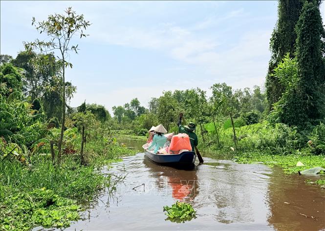 Không gian rừng tràm tĩnh lặng mang đến cảm giác thư thái cho du khách. Ảnh: Thanh Sang- TTXVN