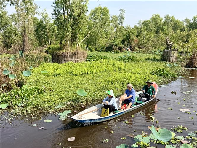Du khách đi xuồng khám phá rừng tràm Trà Sư. Ảnh: Thanh Sang - TTXVN.
