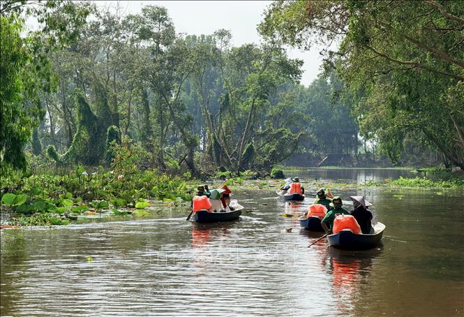 Du khách đi xuồng khám phá rừng tràm Trà Sư. Ảnh: Thanh Sang - TTXVN.