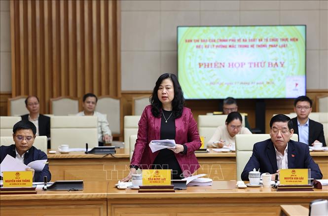 Bộ trưởng Bộ Y tế Đào Hồng Lan phát biểu. Ảnh: Dương Giang-TTXVN