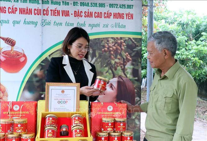 Nối nghiệp cha là ông Bùi Xuân Tám, chị Bùi Thị Thu Hường (xã Tân Hưng, tỉnh Hưng Yên) tìm hiểu, nghiên cứu thị trường, xây dựng mẫu mã các sản phẩm về nhãn đáp ứng nhu cầu thị trường, nâng cao giá trị sản phẩm. Ảnh: Nguyễn Công Hải – TTXVN